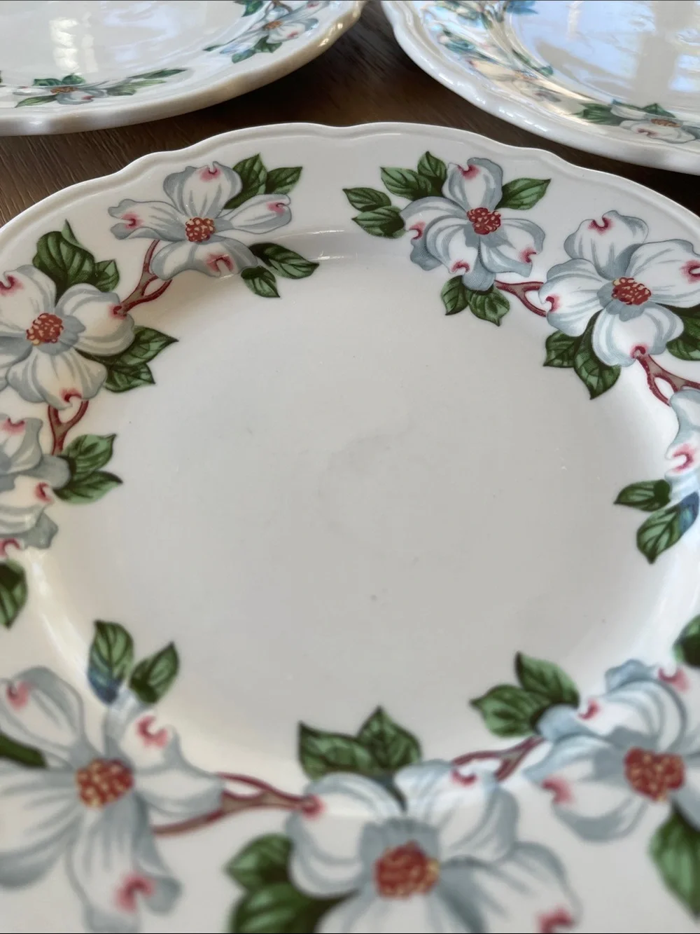Syracuse China Restaurant Ware Dogwood Pattern Set of 7 Salad Plates USA 7.5”